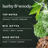 Highlights the top, mid, and base notes of Homedics® SereneScent™ White Sage & Moss's fragrance.